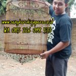 Jual Sangkar Murai Ukir Wayang