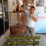 Jual Sangkar Ukir Murai Biksu