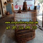 Jual Sangkar Ukir Murai Biksu