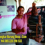 Jual Sangkar Cungkok Anis Merah