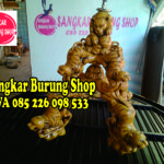 Jual Sangkar Cungkok Murai Batu