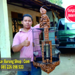 Jual Sangkar Cungkok Anis Merah