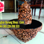 Jual Sangkar Cungkok Anis Merah