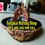 Sangkar Cungkok Murai Shio