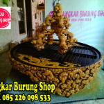 Jual Sangkar Cungkok Murai Batu