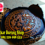 Sangkar Cungkok Murai Shio