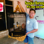 Jual Sangkar Cungkok Murai Batu