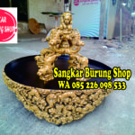 Jual Sangkar Cungkok Murai Batu