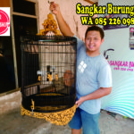 Jual Sangkar Cungkok Murai Batu
