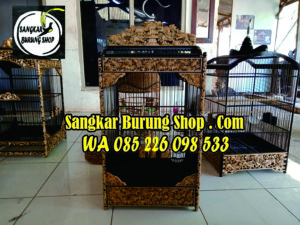 Sangkar Cungkok Kacer