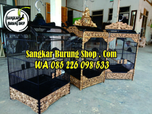 Sangkar Cungkok Kacer Terlaris