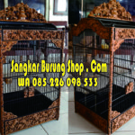 Sangkar Cungkok Kacer