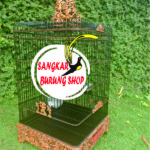 Sangkar Cungkok Murai Jepara