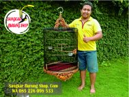 Sangkar Cungkok Murai Jepara