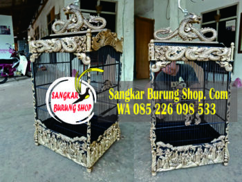 Sangkar Cucak Rowo