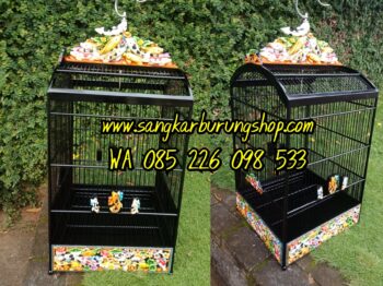 Sangkar Ukir Kacer Ikan Koi Terbaru 2019