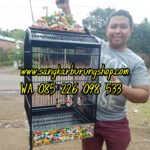 Sangkar Ukir Kacer Ikan Koi Terbaru 2019