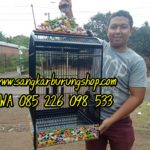 Sangkar Ukir Kacer Ikan Koi Terbaru 2019