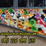 Sangkar Ukir Kacer Ikan Koi Terbaru 2019