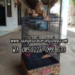 Sangkar Cungkok Kacer Oval Tanpa Tiang