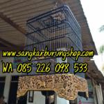 Sangkar Cungkok Kacer Oval Tanpa Tiang