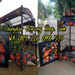 Sangkar Ukir Kacer Terbaru 2019