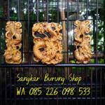 Sangkar Cungkok Kacer 9 Naga