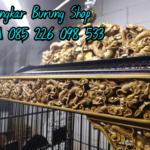Sangkar Cungkok Kacer 9 Naga