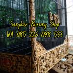 Sangkar Cungkok Kacer 9 Naga