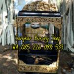 Sangkar Cungkok Kacer 9 Naga