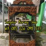 Sangkar Cungkok Kacer 9 Naga