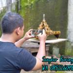 Sangkar Cungkok Murai Motif Ayam Hutan