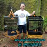 Sangkar Cungkok Murai Motif Ayam Hutan
