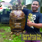 Sangkar Perkutut Mahkota Super