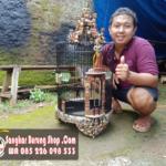 Jual Sangkar Wambi Ukir Tari Tradisional