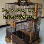 Sangkar Cungkok Anis Merah Oval Tanpa Tiang