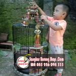 Jual Sangkar Wambi Ukir Tari Tradisional