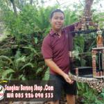 Jual Sangkar Wambi Ukir Tari Tradisional