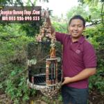 Jual Sangkar Wambi Ukir Tari Tradisional