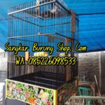 Sangkar Anis Ukir Jepara