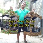 Jual Sangkar Ukir Jepara Terbaru