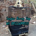 Jual Sangkar Cucak Ijo