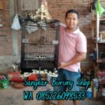 Jual Sangkar Cucak Ijo