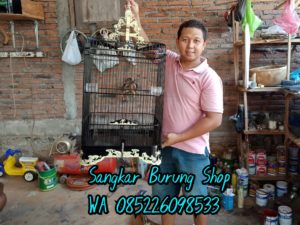 Jual Sangkar Cucak Ijo