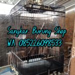 Jual Sangkar Cucak Ijo