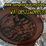 Jual Sangkar Murai Ukir Kelelawar