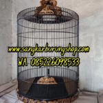 Jual Sangkar Murai Ukir Kelelawar