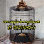 Jual Sangkar Murai Ukir Kelelawar