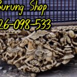 Jual Sangkar Murai Ukir Kelelawar