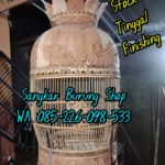 Sangkar Perkutut Ukir Kayu Jepara